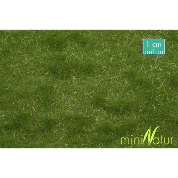 Mininatur Viehweide - Sommer - ca. 50x31,5cm - H0 / TT (713-22H)