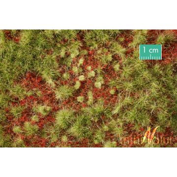 Mininatur Waldboden bewachsen - Frühherbst - ca. 50x31,5cm - H0 / TT (741-23H)