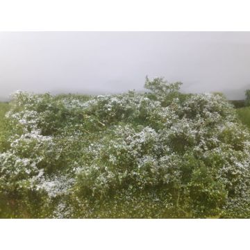 Mininatur Waldlichtung - Sommer - ca. 31,5x25 cm - H0 / TT (742-22S)