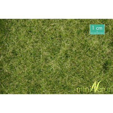 Mininatur Wiese - Frühherbst - ca. 50x31,5cm - H0 / TT (720-23H)