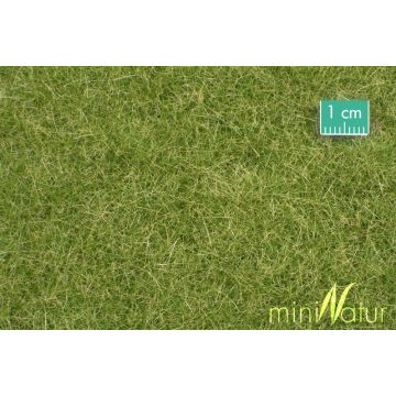 Mininatur Wiese - Frühherbst - ca. 50x31,5cm - 1:45+ (720-33H)