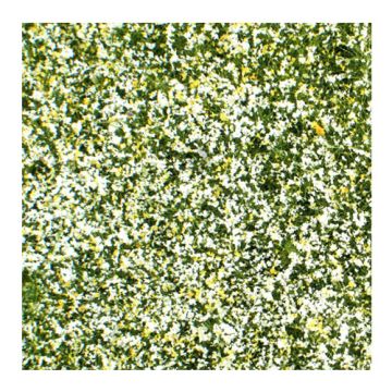 Mininatur Wiese mit Blüten - Frühling - ca. 50x31,5cm - H0 / TT (722-21H)