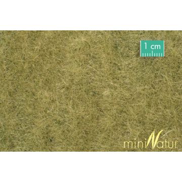 Mininatur Wiese - Spätherbst - ca. 50x31,5cm - H0 / TT (720-24H)