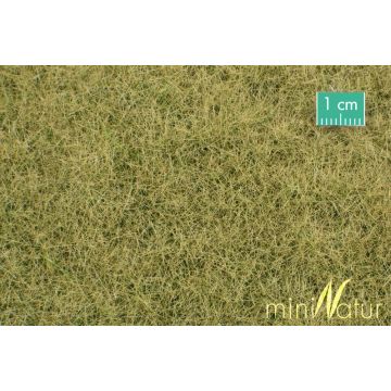 Mininatur Wiese - Spätherbst - ca. 50x31,5cm - 1:45+ (720-34H)