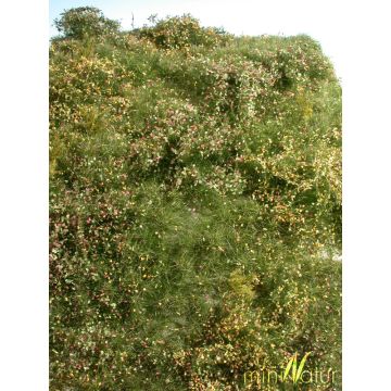 Mininatur Wildwuchsgebiet - Frühherbst - ca. 25x15,5cm - H0 / TT (732-23S)