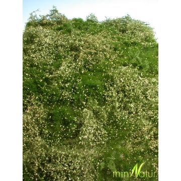 Mininatur Wildwuchsgebiet - Sommer - ca. 25x15,5cm - H0 / TT (732-22S)