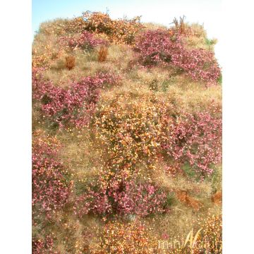 Mininatur Wildwuchsgebiet - Spätherbst - ca. 25x15,5cm - H0 / TT (732-24S)