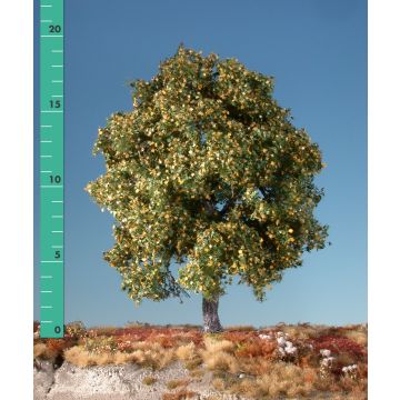 Silhouette Ahorn - Frühherbst - 0 (< ca. 8cm) (230-03)