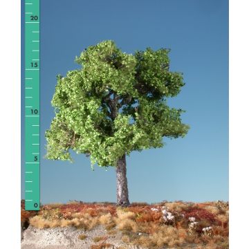 Silhouette Ahorn - Frühling - 1 (ca. 10-13cm) - N / Z (230-11)