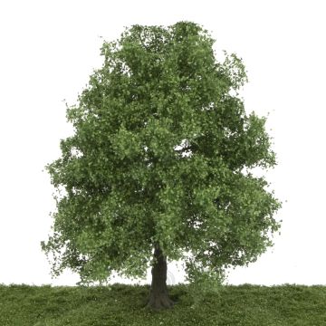 Silhouette Ahorn - Frühling - 25-29cm (331-001-1)