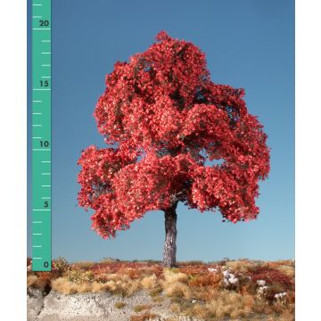 Silhouette Ahorn - Spätherbst (rot) - 0 (< ca. 8cm) (230-05)