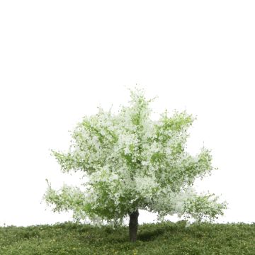 Silhouette Apfelbaum - Frühherbst - 0 (< ca. 8cm) (226-63)