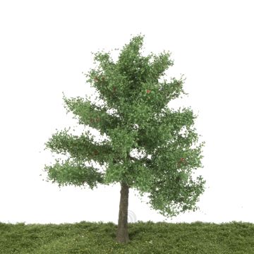 Silhouette Apfelbaum - Frühling - 20-24cm (326-001-1)