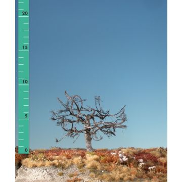 Silhouette Apfelbaum - Kahl - 1 (ca. 10-13cm) (226-10)