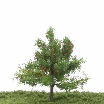 Silhouette Apfelbaum - Sommer - 1 (ca. 12-16cm) (226-42)