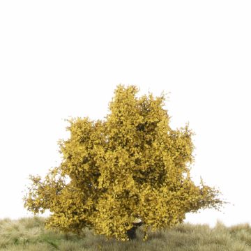 Silhouette Apfelbaum - Spätherbst - 1 (ca. 12-16cm) (226-44)