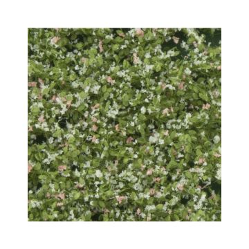 Silhouette Apfelbaumblüten - Frühling - ca. 63x50 cm - 1:45+ (926-31G)