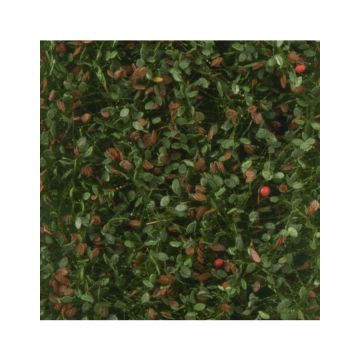 Silhouette Apfelbaumlaub mit Äpfeln - Frühherbst - ca. 50x31,5cm - H0 / TT (926-23H)