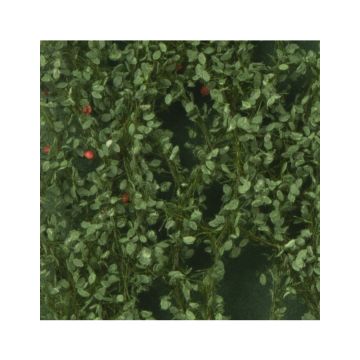 Silhouette Apfelbaumlaub mit Äpfeln - Sommer - ca. 50x31,5cm - H0 / TT (926-22H)