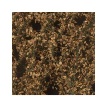 Silhouette Apfelbaumlaub mit Äpfeln - Spätherbst - ca. 50x31,5cm - H0 / TT (926-24H)