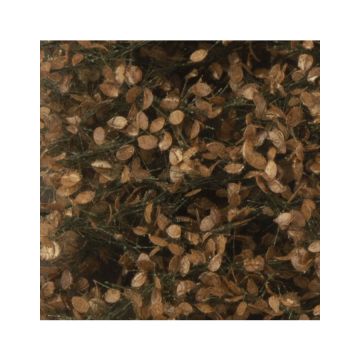 Silhouette Apfelbaumlaub mit Äpfeln - Spätherbst - ca. 50x31,5 cm - 1:45+ (926-34H)