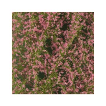 Silhouette Aprikosenblüten - Frühling - ca. 50x31,5cm - H0 / TT (928-21H)