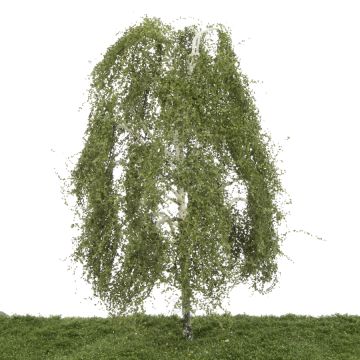 Silhouette Birke - Frühling - 40-45cm (311-004-1)
