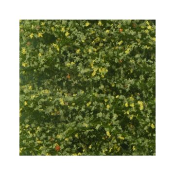 Silhouette Birkenlaub - Frühherbst - ca. 27x16,5cm - N / Z (910-13)