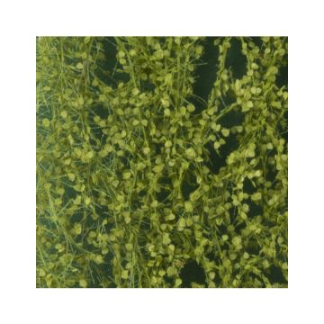 Silhouette Birkenlaub - Frühling - ca. 15x4cm - H0 / TT (910-21S)