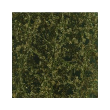 Silhouette Birkenlaub - Sommer - ca. 63x50cm - N / Z (910-12G)