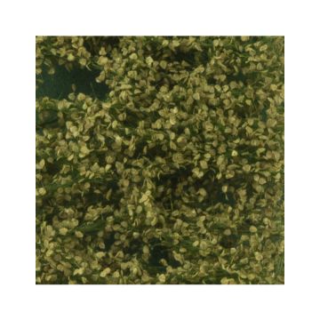 Silhouette Birkenlaub - Sommer - ca. 15x4cm - H0 / TT (910-22S)
