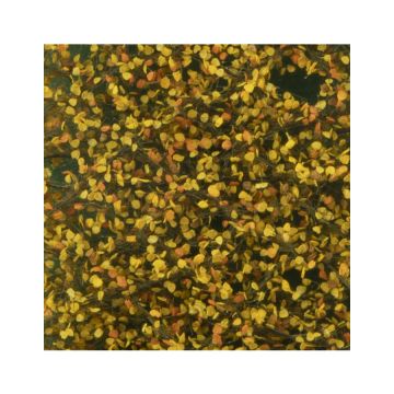 Silhouette Birkenlaub - Spätherbst - ca. 50x31,5cm - H0 / TT (910-24H)