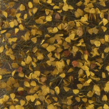 Silhouette Birkenlaub - Spätherbst - ca. 50x31,5cm - 1:45+ (910-34H)