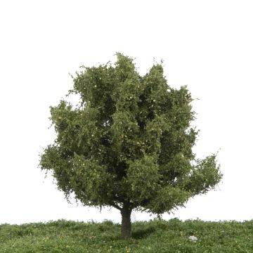 Silhouette Birnbaum - Sommer - 12-16cm (228-42)