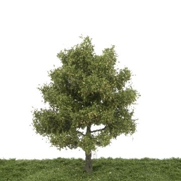 Silhouette Birne baum - Frühherbst - 20-24cm (328-001-3)