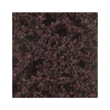 Silhouette Blutbuchenlaub - Sommer - ca. 27x16,5cm - N / Z (922-12)