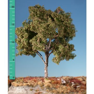 Silhouette Buche - Frühherbst - 0 (< ca. 8cm) (220-03)