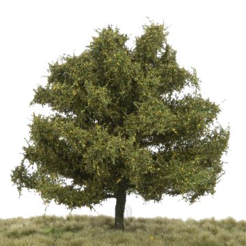 Silhouette Buche - Frühherbst - 0 (< ca. 8cm) (220-63)