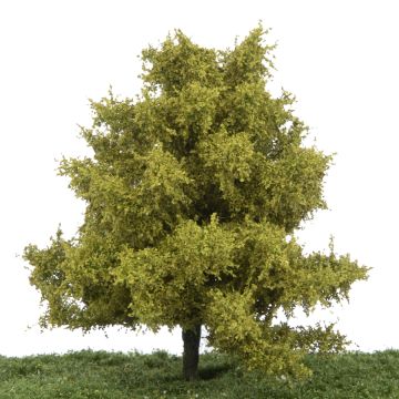 Silhouette Buche - Frühling - 0 (< ca. 8cm) (220-61)