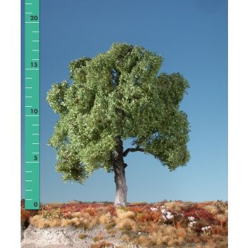 Silhouette Buche - Sommer - 0 (< ca. 8cm) (220-02)