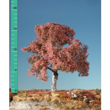 Silhouette Buche - Spätherbst - 0 (< ca. 8cm) (220-04)