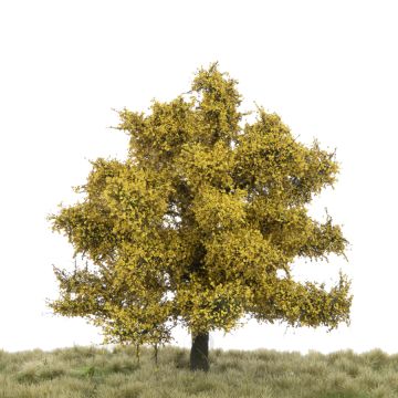 Silhouette Buche - Spätherbst - 12-16cm (220-44)