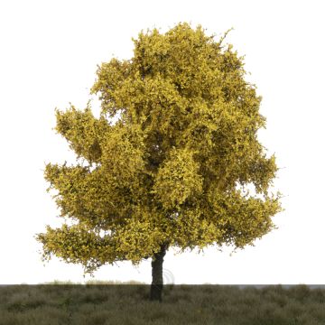 Silhouette Buche - Spätherbst - 0 (< ca. 8cm) (220-64)