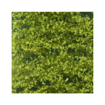 Silhouette Buchenlaub - Frühling - ca. 15x4cm - N / Z (920-11S)