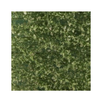 Silhouette Buchenlaub - Sommer - ca. 63x50cm - N / Z (920-12G)