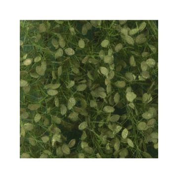 Silhouette Buchenlaub - Sommer - ca. 50x31,5cm - 1:45+ (920-32H)