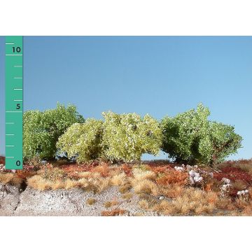 Silhouette Büsche niedrig - Frühling - 0 (< ca. 8cm) - H0 / TT (251-01)