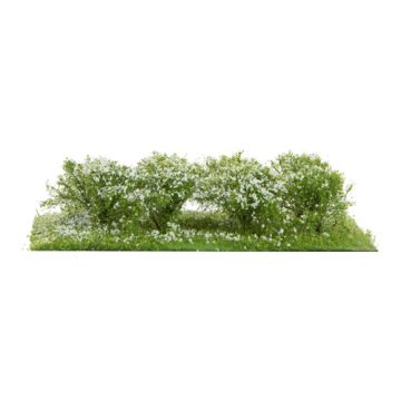 Silhouette Büsche und Sträucher - Weiß - 3cm - H0 / TT (252-25)