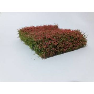 Silhouette Büsche und Sträucher - Rot - 12 x 14 cm - H0 / TT (250-48)