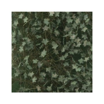 Silhouette Efeu - Sommer - ca. 63x50cm - 1:45+ (936-32G)